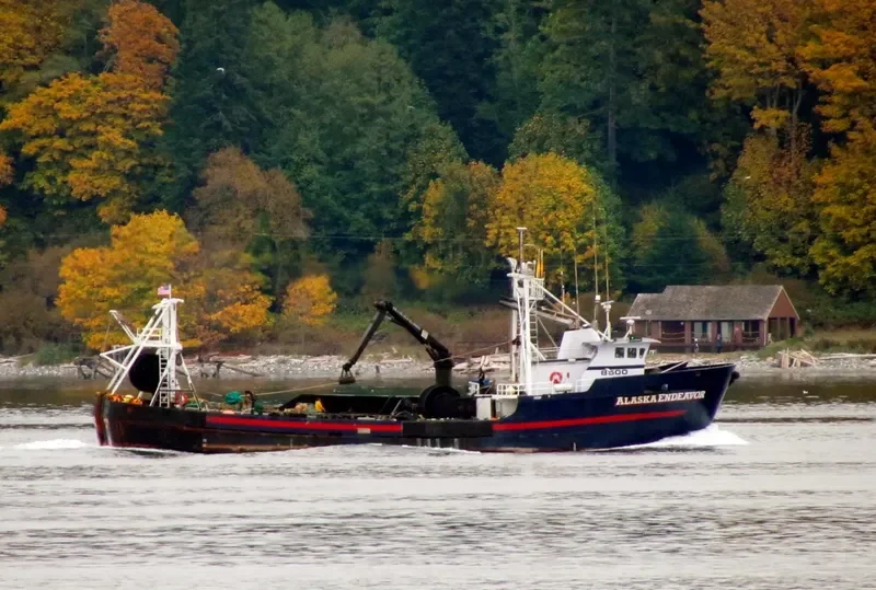 ALASKA ENDEAVOR General Cargo IMO 7933555 photo 3