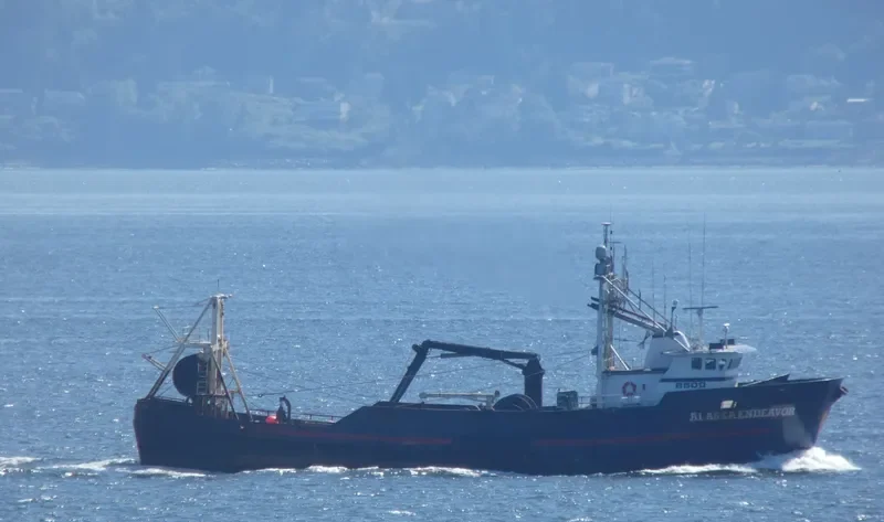 ALASKA ENDEAVOR General Cargo IMO 7933555 photo 6