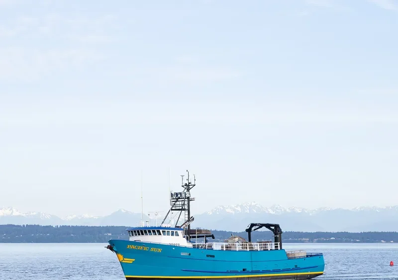 PACIFIC SUN General Cargo IMO 7933567