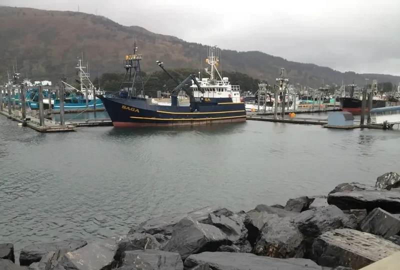 SAGA General Cargo IMO 7933579 photo 3