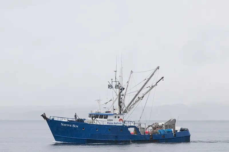 NATIVE SUN Fishing Vessel IMO 7933983