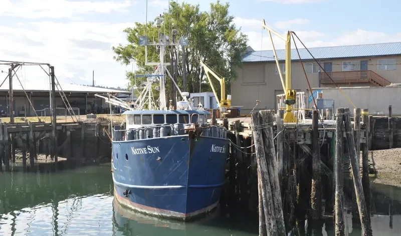 NATIVE SUN Fishing Vessel IMO 7933983 photo 3