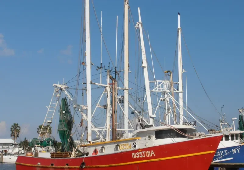 MISS TINA Fishing Vessel IMO 7933995