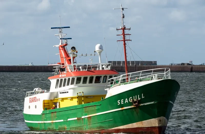 SEAGULL General Cargo IMO 7936765 photo 4