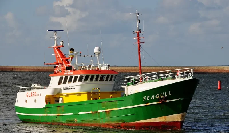 SEAGULL General Cargo IMO 7936765 photo 6