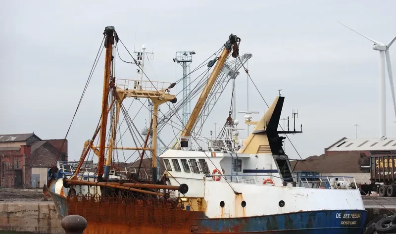 SEAGULL General Cargo IMO 7936765 photo 8