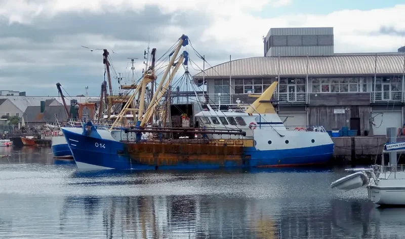 SEAGULL General Cargo IMO 7936765 photo 9