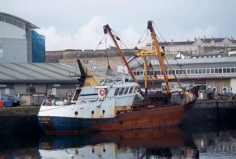 SEAGULL General Cargo IMO 7936765 photo 10