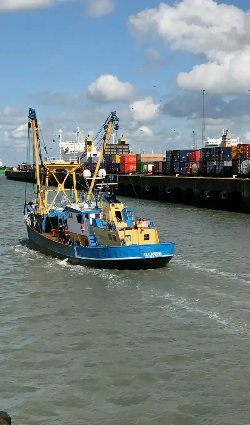 ZILVERMEEUW General Cargo IMO 7936777