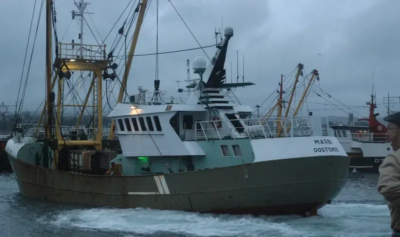 MARBI General Cargo IMO 7936791