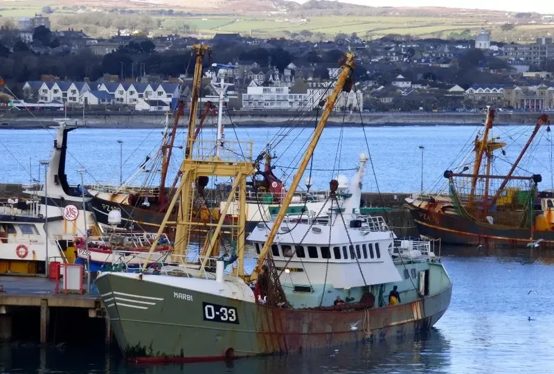 MARBI General Cargo IMO 7936791 photo 9