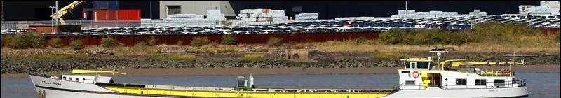 POLLA ROSE General Cargo IMO 7937252 photo 8