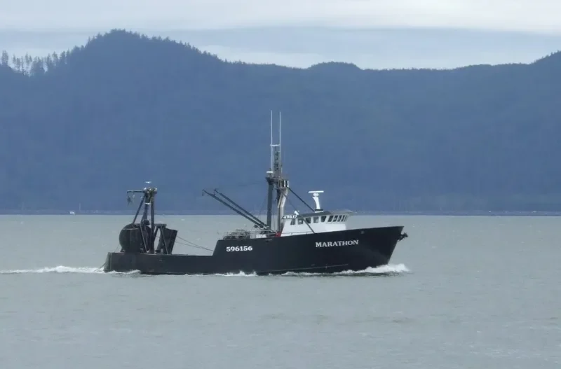 MARATHON General Cargo IMO 7937496 photo 6