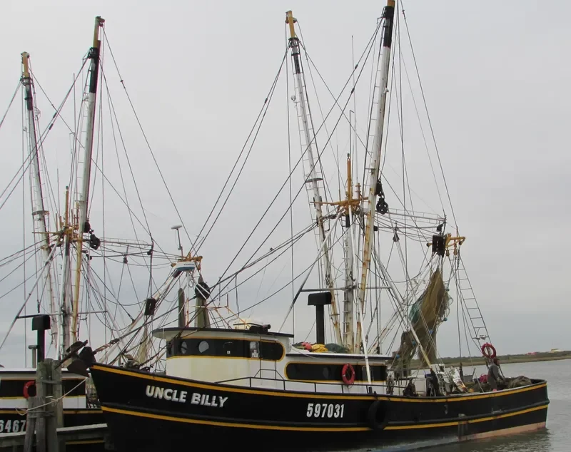 UNCLE BILLY General Cargo IMO 7937525