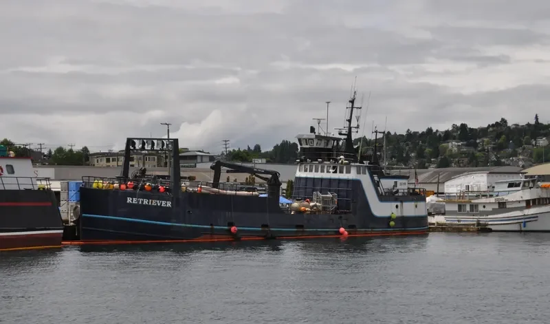 RETRIEVER General Cargo IMO 7938464 photo 3