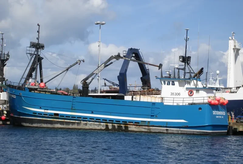 DETERMINED General Cargo IMO 7938634 photo 3