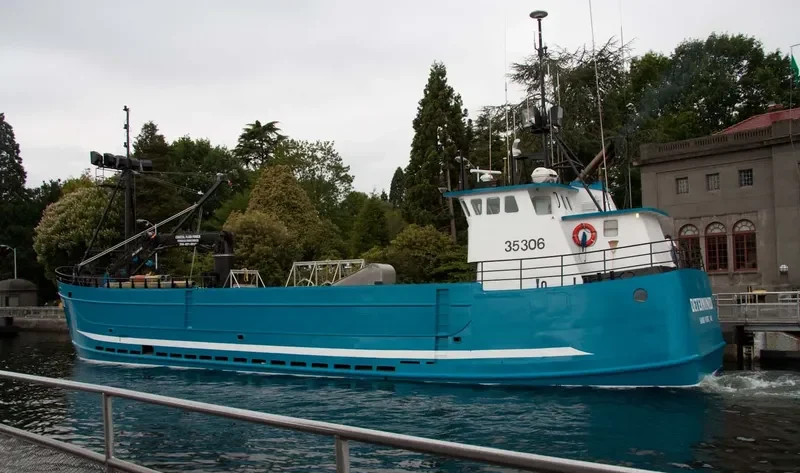DETERMINED General Cargo IMO 7938634 photo 7