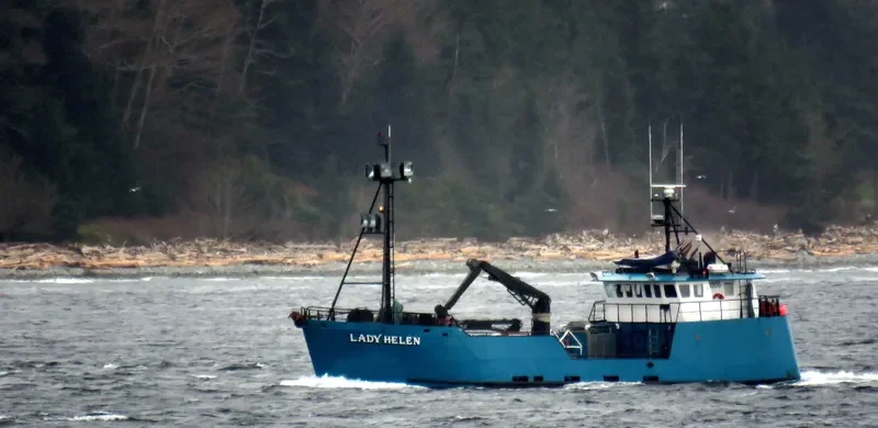 LADY HELEN General Cargo IMO 7938684