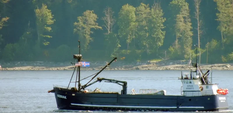 KODIAK Fishing Vessel IMO 7938713