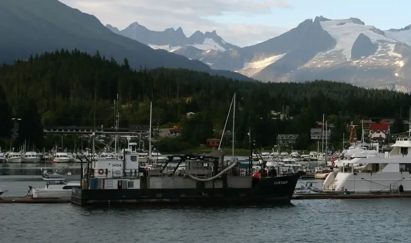 CAPE CALM Fishing Vessel IMO 7939523