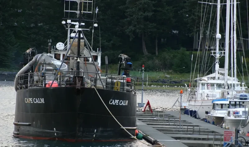 CAPE CALM Fishing Vessel IMO 7939523 photo 2