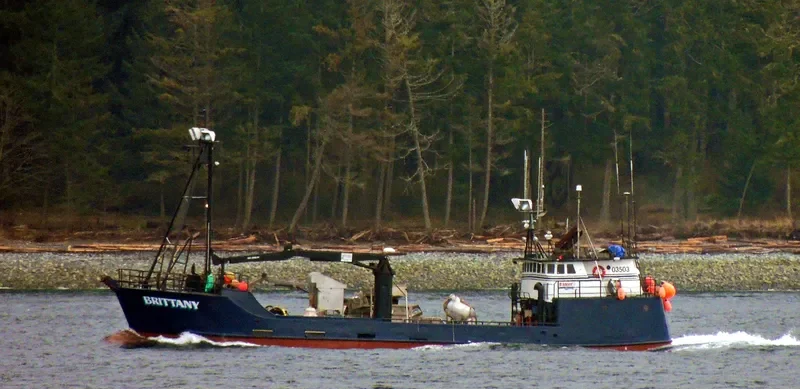 BRITTANY Fishing Vessel IMO 7939535 photo 5