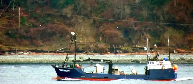 BRITTANY Fishing Vessel IMO 7939535 photo 6