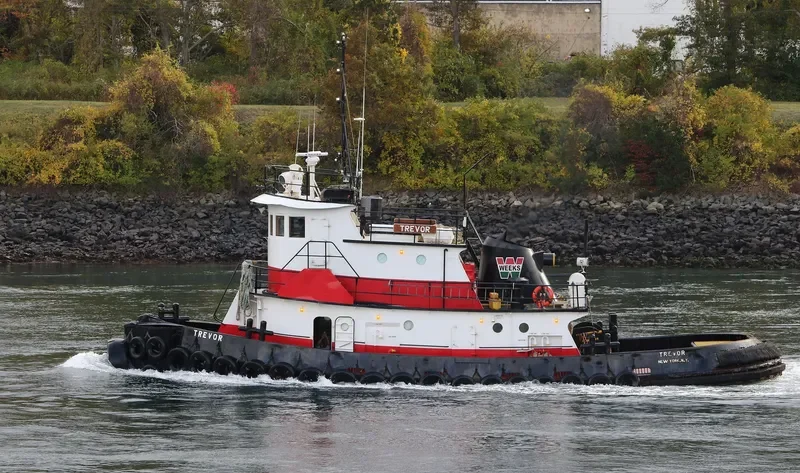 TREVOR Tug Boat IMO 7939638 photo 7