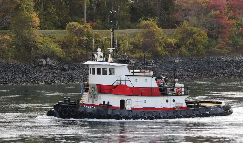 TREVOR Tug Boat IMO 7939638 photo 8