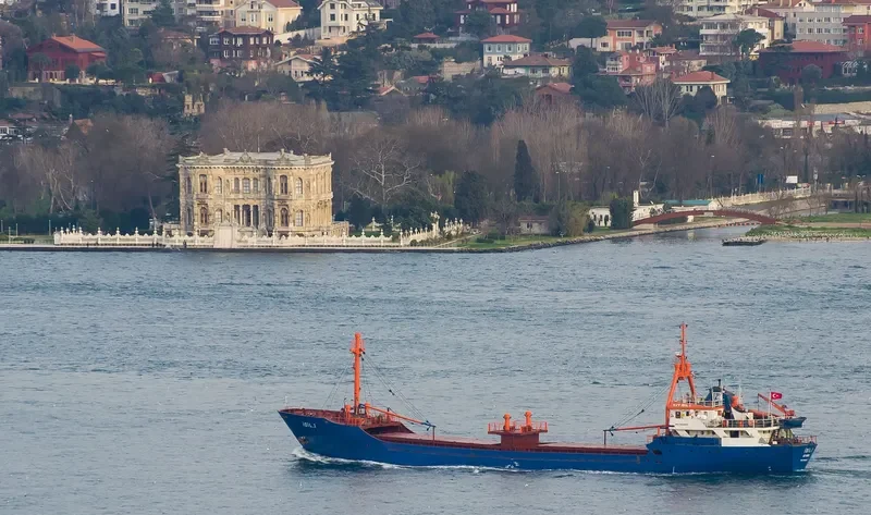 IDIL I General Cargo IMO 7939937 photo 7
