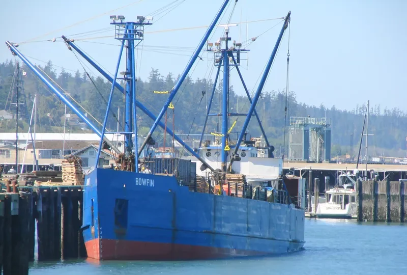 BOWFIN General Cargo IMO 7940039