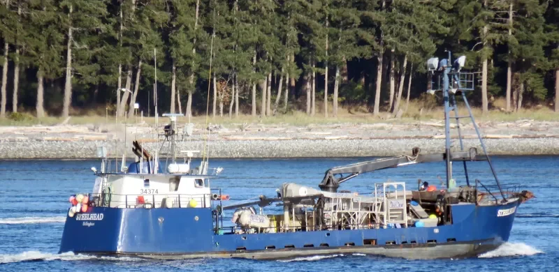STEELHEAD General Cargo IMO 7940211