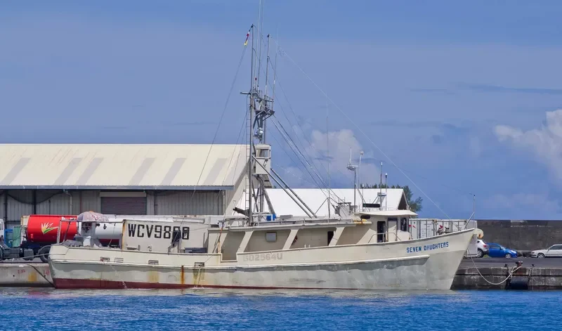 SEVEN DAUGHTERS General Cargo IMO 7940247