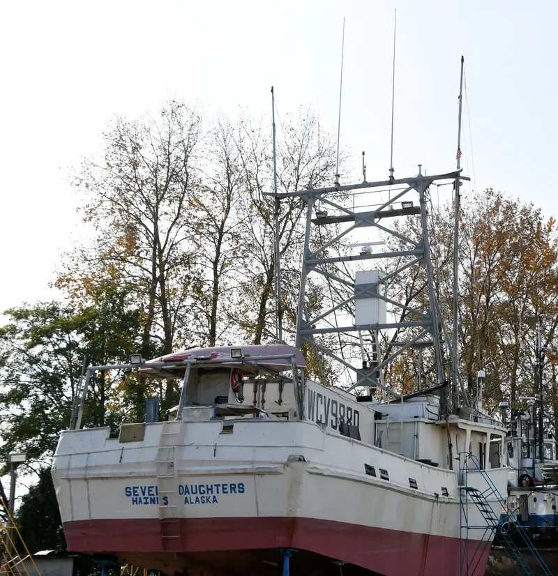 SEVEN DAUGHTERS General Cargo IMO 7940247 photo 7