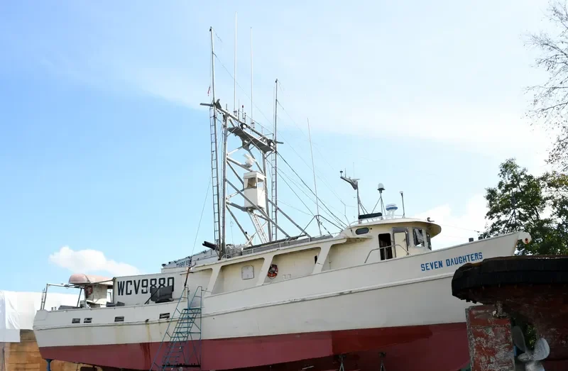 SEVEN DAUGHTERS General Cargo IMO 7940247 photo 8