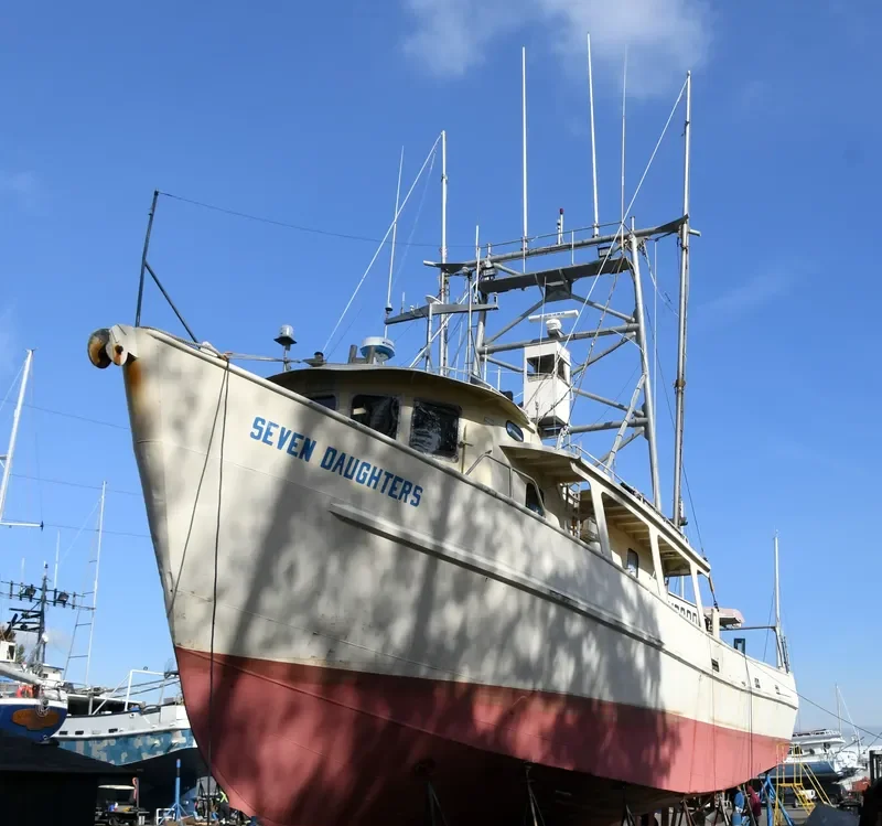 SEVEN DAUGHTERS General Cargo IMO 7940247 photo 9
