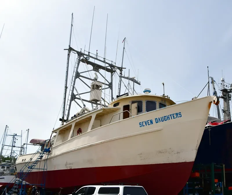 SEVEN DAUGHTERS General Cargo IMO 7940247 photo 10
