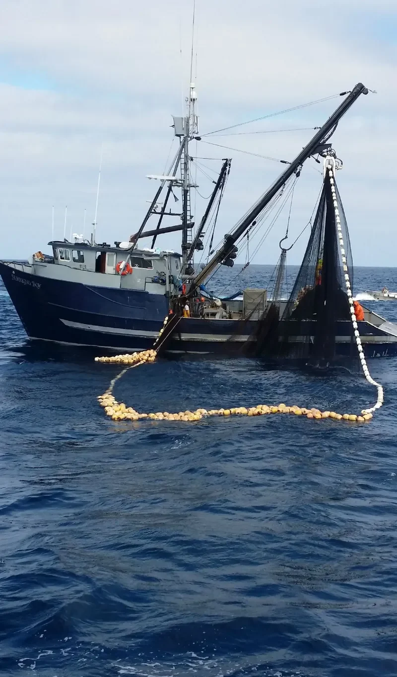 FERRIGNO BOY Fishing Vessel IMO 7940376