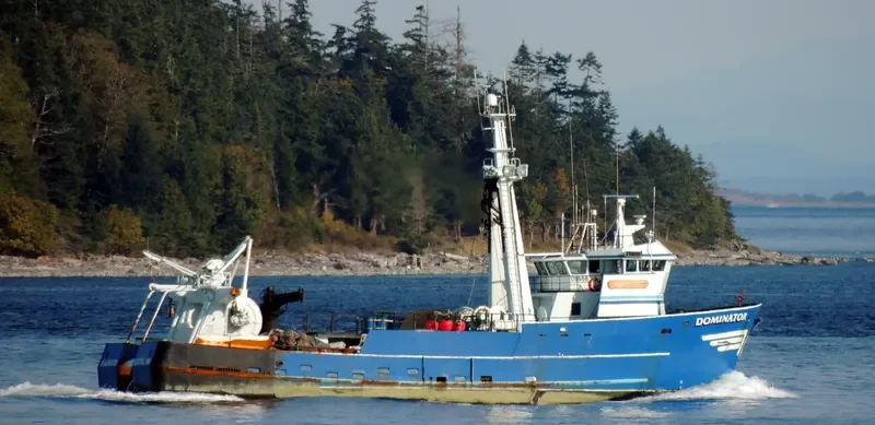 DOMINATOR General Cargo IMO 7940467