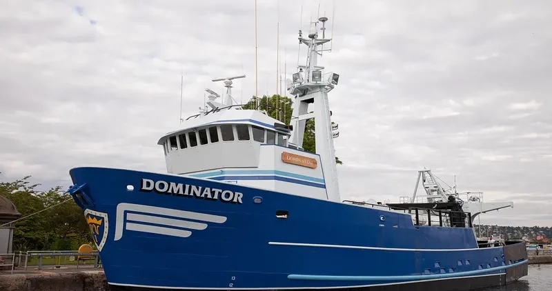 DOMINATOR General Cargo IMO 7940467 photo 2