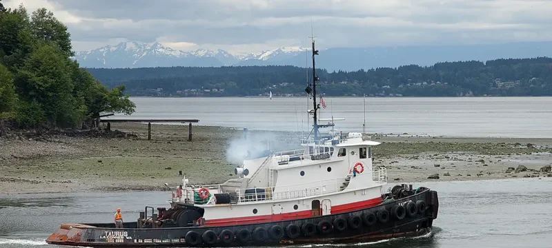 TAURUS Tug Boat IMO 7941021 photo 6