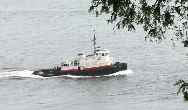 TAURUS Tug Boat IMO 7941021 photo 7