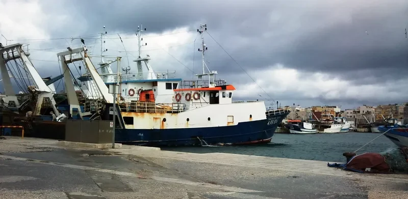 COSIMO PADRE Fishing Vessel IMO 7941497
