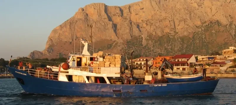 TRILONA Fishing Vessel IMO 7941552