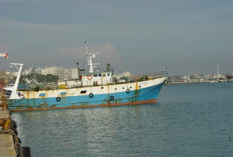 TALAFI Fishing Vessel IMO 7941588 photo 3