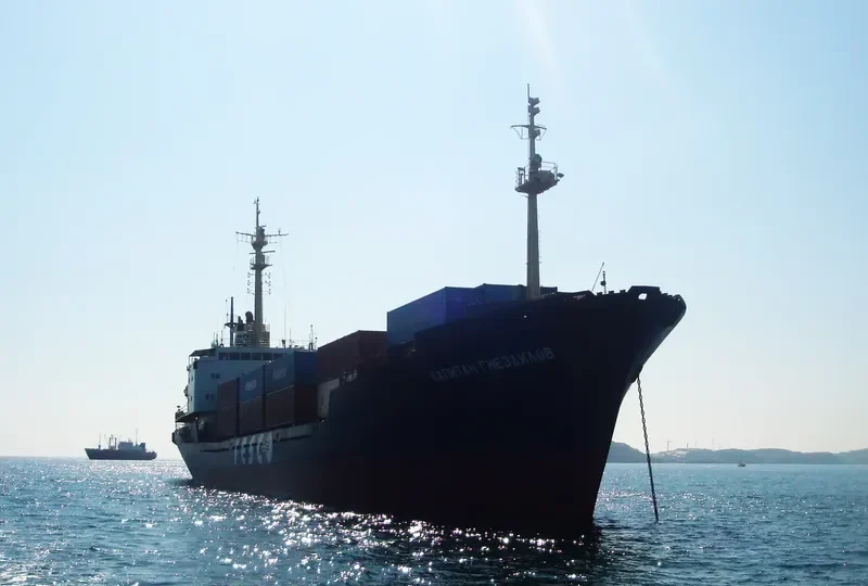 KAPITAN GNEZDILOV Container Ship IMO 7941667 photo 5