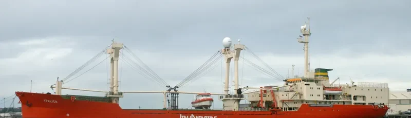 ITALICA General Cargo IMO 7942075 photo 7