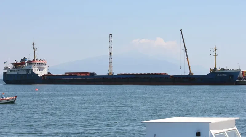 STEEL COUGAR General Cargo IMO 7942128 photo 4