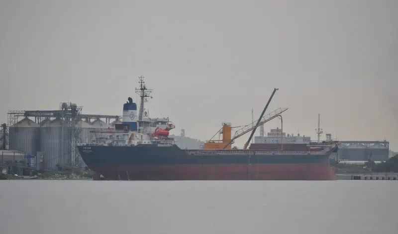 FEDON Bulk Carrier IMO 7942336 photo 3