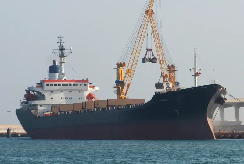 FEDON Bulk Carrier IMO 7942336 photo 4